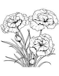 Image 11 of 25 Pretty Floral Coloring Pages, Digital Download, Coloring Book, Adult, Instant Download book 2
