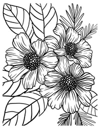 Image 17 of 25 Pretty Floral Coloring Pages, Digital Download, Coloring Book, Adult, Instant Download book 2