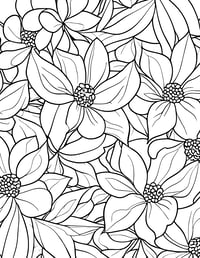 Image 18 of 25 Pretty Floral Coloring Pages, Digital Download, Coloring Book, Adult, Instant Download book 2