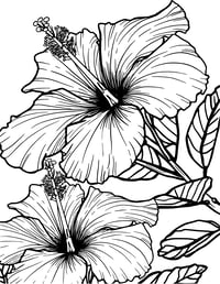 Image 20 of 25 Pretty Floral Coloring Pages, Digital Download, Coloring Book, Adult, Instant Download book 2