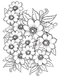 Image 2 of 25 Pretty Floral Coloring Pages, Digital Download, Coloring Book, Adult, Instant Download book 1
