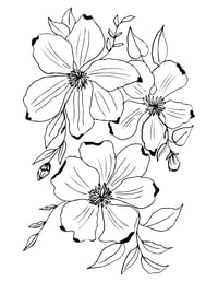 Image 5 of 25 Pretty Floral Coloring Pages, Digital Download, Coloring Book, Adult, Instant Download book 1