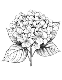 Image 6 of 25 Pretty Floral Coloring Pages, Digital Download, Coloring Book, Adult, Instant Download book 1