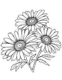 Image 7 of 25 Pretty Floral Coloring Pages, Digital Download, Coloring Book, Adult, Instant Download book 1
