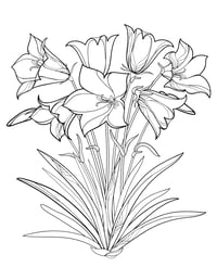 Image 10 of 25 Pretty Floral Coloring Pages, Digital Download, Coloring Book, Adult, Instant Download book 1