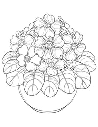 Image 12 of 25 Pretty Floral Coloring Pages, Digital Download, Coloring Book, Adult, Instant Download book 1