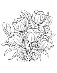 Image 13 of 25 Pretty Floral Coloring Pages, Digital Download, Coloring Book, Adult, Instant Download book 1