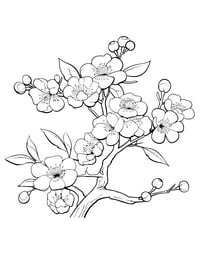 Image 14 of 25 Pretty Floral Coloring Pages, Digital Download, Coloring Book, Adult, Instant Download book 1