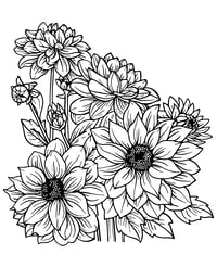 Image 20 of 25 Pretty Floral Coloring Pages, Digital Download, Coloring Book, Adult, Instant Download book 1