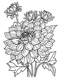 Image 21 of 25 Pretty Floral Coloring Pages, Digital Download, Coloring Book, Adult, Instant Download book 1