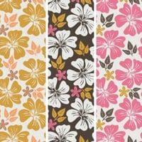 Image 1 of Tropical Hibiscus Flowers