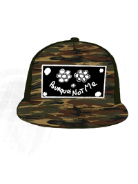 PNM CAMO CAP 