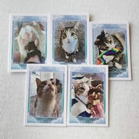 Image 10 of Badger Support Pack (with free shipping)