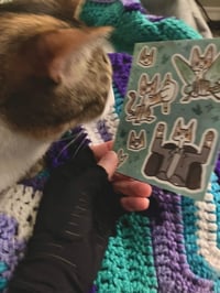 Image 16 of Badger Support Pack (with free shipping)