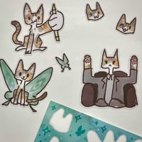 Image 9 of Badger Support Pack (with free shipping)