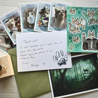Image 2 of Badger Support Pack (with free shipping)