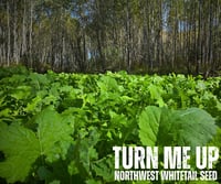 Image 1 of TURN ME UP