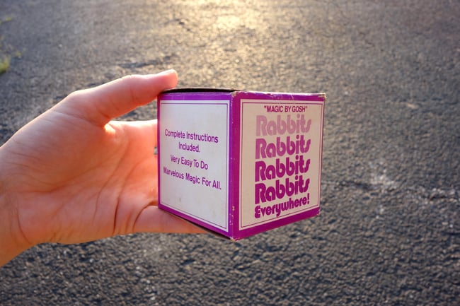 RABBITS RABBITS RABBITS RABBITS EVERYWHERE