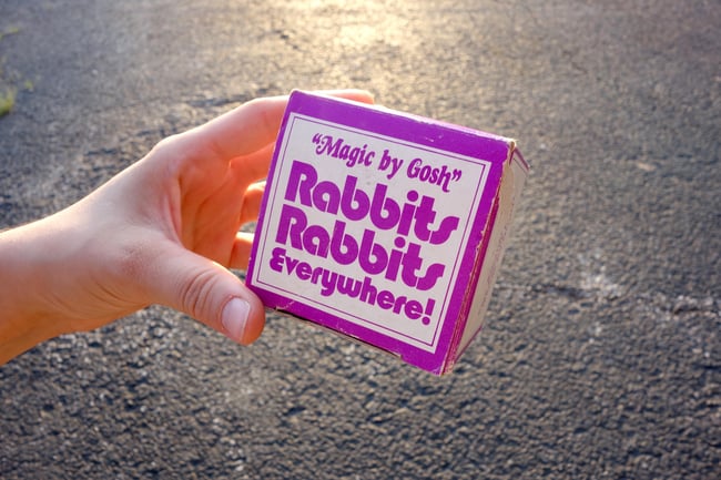RABBITS RABBITS RABBITS RABBITS EVERYWHERE