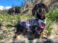 Image 1 of Blue Flannel Towel Coat