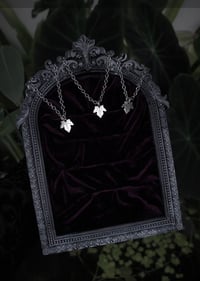 Image 1 of Ivy charms