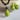 Lime With Lines - Pendant and Earrings Set