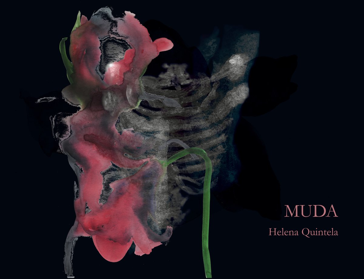 Image of [PREVENDA] Muda
