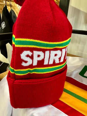 Image of Wales HOME/AWAY Bobble hat