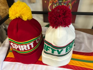 Image of Wales HOME/AWAY Bobble hat