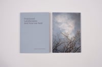 Fractured Landscapes and how we heal