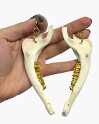 Deer jaw earrings