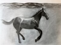 Horse #3