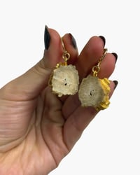 Image 1 of Antler Slice earrings I