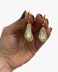 Image 1 of Antler Slice earrings II