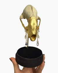 Image 1 of Badger skull crystal tears