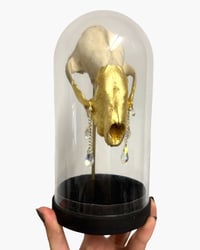 Image 2 of Badger skull crystal tears