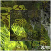 ITEM 9 - 2 [CD]