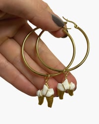 Fox teeth hoops I