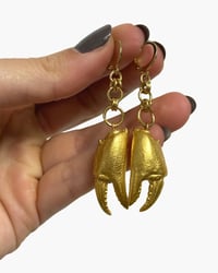 Crab Claw drop Earrings