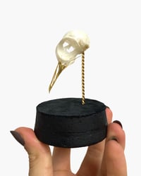 Image 1 of Pigeon skull