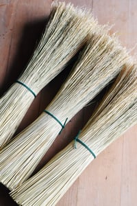 Image 2 of Mexican Broomcorn Sorghum fibre for brush and broom making 18” length