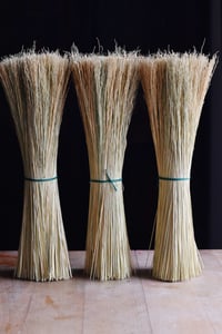 Image 1 of Mexican Broomcorn Sorghum fibre for brush and broom making 18” length