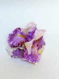 Image 1 of xl violet iris claw (sample)