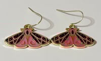 pink moon moth