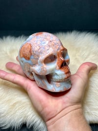 Image 19 of Druzy Pink Petal Agate Skull Carving #2240