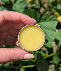 Image 3 of Mallow Lip Balm