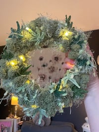 Image 2 of Shady Acres Strain 8" Wreath