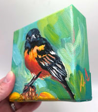 Image 2 of Orbie the Oriole