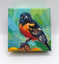 Image 1 of Orbie the Oriole