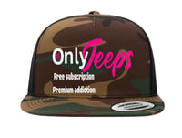 Image 1 of MrLiveBest OnlyJeeps Free Subs Camo Hat